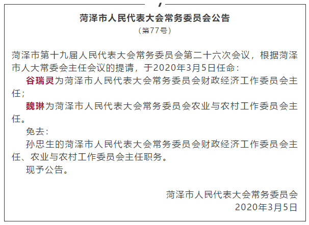 利津县财政局人事任命，塑造未来财政蓝图的核心力量