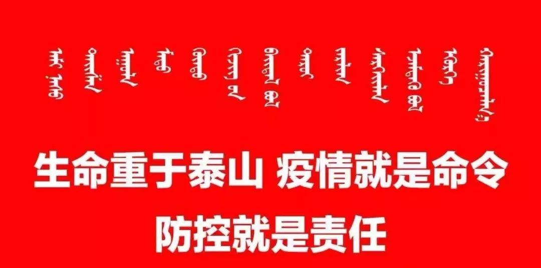 科尔沁右翼中旗政务服务局最新招聘公告概览