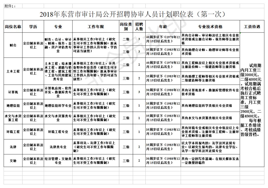 桥东区审计局最新招聘信息详解