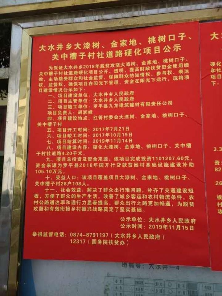 罗平县数据和政务服务局最新项目进展报告，推进数字化政务服务的最新动态