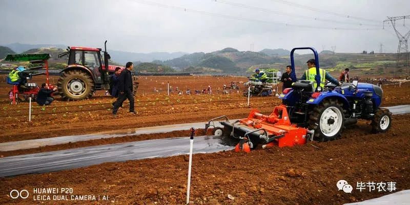 毕节市农业农村局新项目引领农业现代化，助力乡村振兴大放异彩