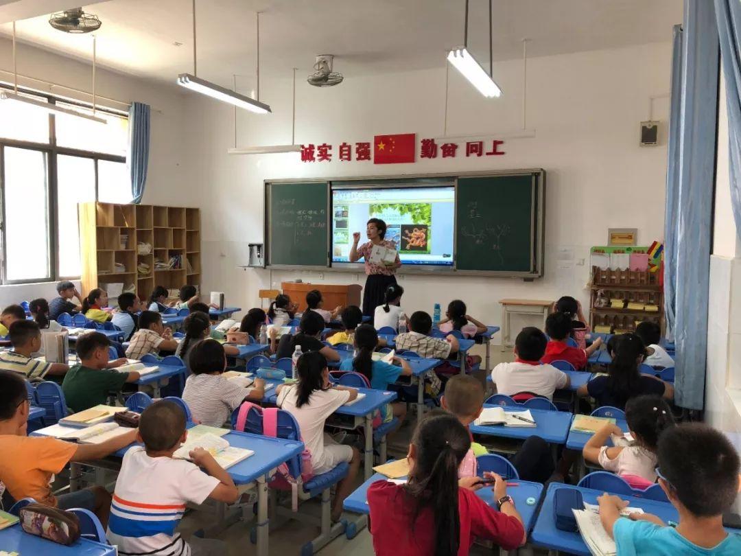 新青区小学最新新闻——迈向未来的教育革新之旅