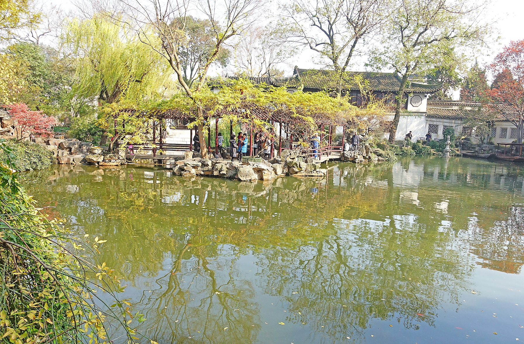 留园街道最新天气预测报告