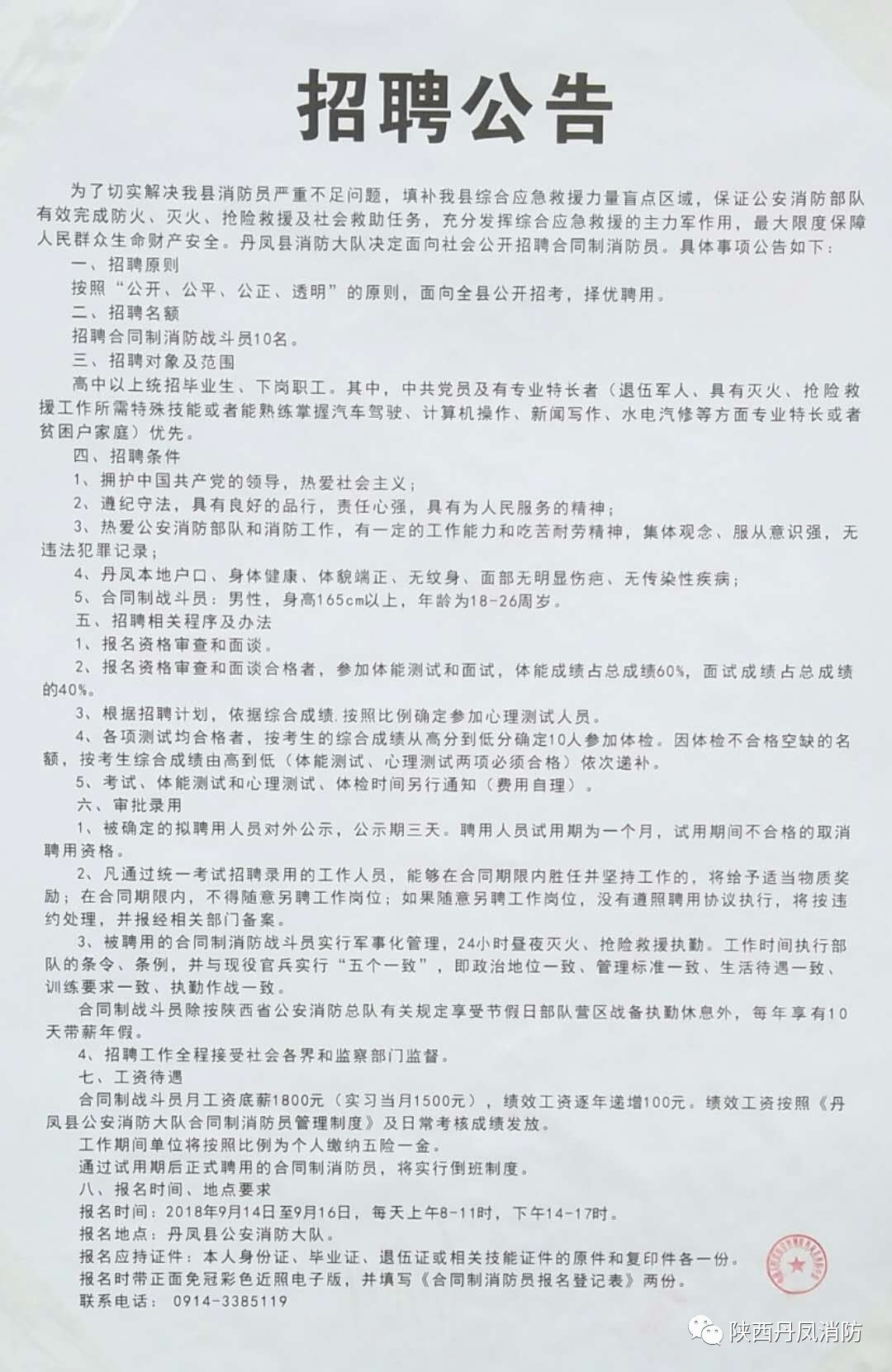 大埔县文化局及关联单位招聘启事概览