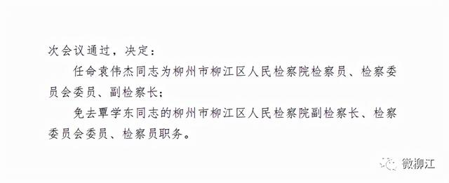 江城区医疗保障局人事任命动态解读