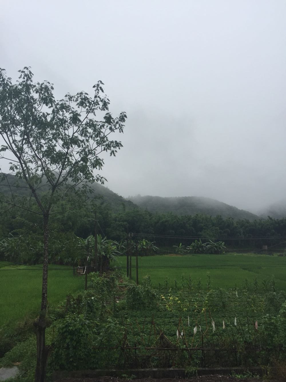 夏布夏扣村天气预报更新通知