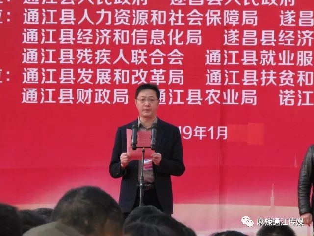 通江县审计局最新招聘启事概览