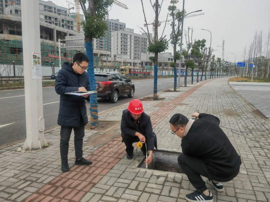 铜陵县审计局最新项目动态深度解析